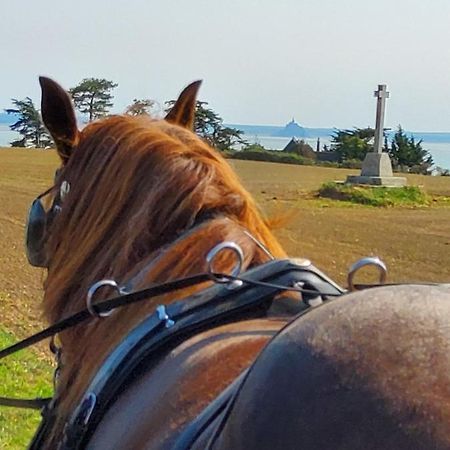 Chez Jollyjune, A Moins D'Une Heure Du Mont Saint Michel Champeaux Eksteriør bilde