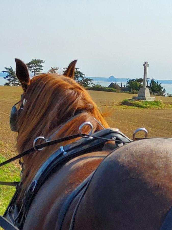 Chez Jollyjune, A Moins D'Une Heure Du Mont Saint Michel Champeaux Eksteriør bilde