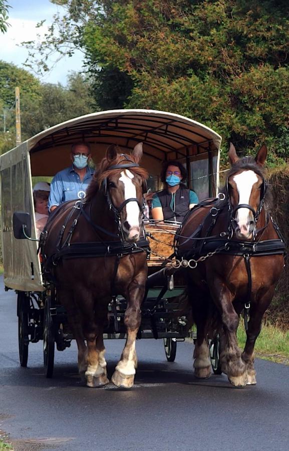 Chez Jollyjune, A Moins D'Une Heure Du Mont Saint Michel Champeaux Eksteriør bilde